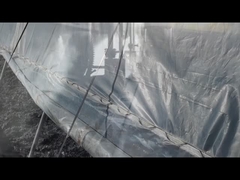 Hạt kali humate/natri humate