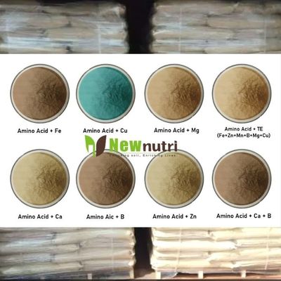 Agricultural PH5 40% 50% 60% 80% Amino Acid Fertilizer