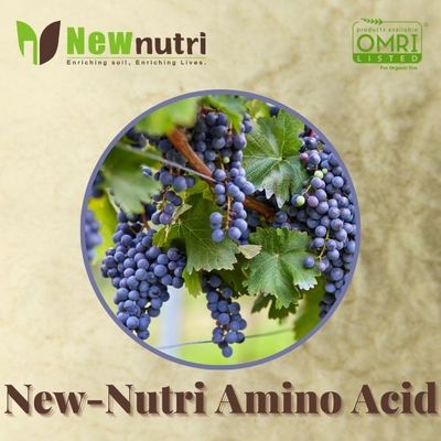 13% Nitrogen Organic Fertilizer