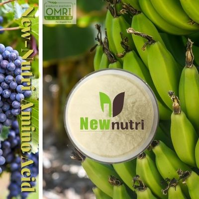 13% Nitrogen Organic Fertilizer