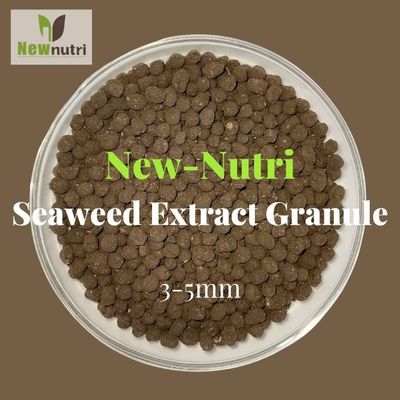 10% Ca Seaweed Extract Powder Fertilizer