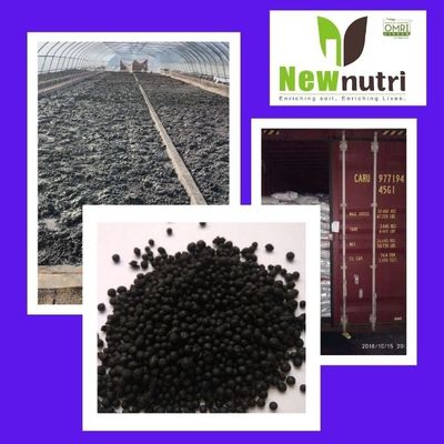 10% Magnesium Soluble Humic Acid Powder