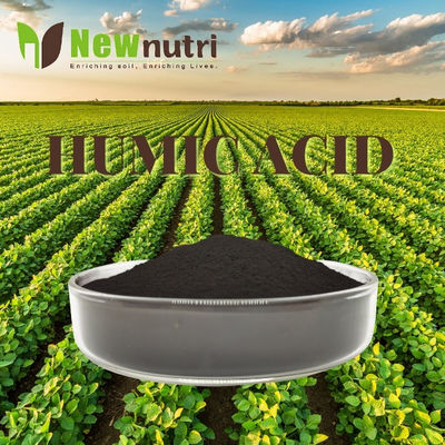 80 Mesh 70% Humic Acid Powder Fertilizer For Humate Products