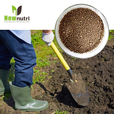 Granular NPK Fulvic Acid PH5 With 100% Water Solubility
