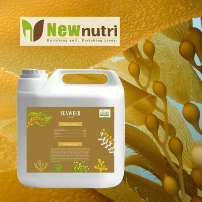 NPK 80-250-360 Seaweed Extract Liquid Fertilizer OMRI Listed