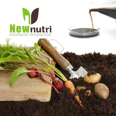Brown NPK 100-400-100 Seaweed Extract Liquid Fertilizer