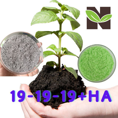 19-19-19 NPK Balance Water Soluble Humic Acid Organic Fertilizer