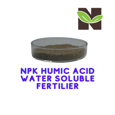 19-19-19 NPK Balance Water Soluble Humic Acid Organic Fertilizer