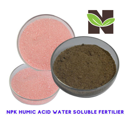 High Nitrogen Humic Acid Organic Powder Fertilizer 40-80 Mesh