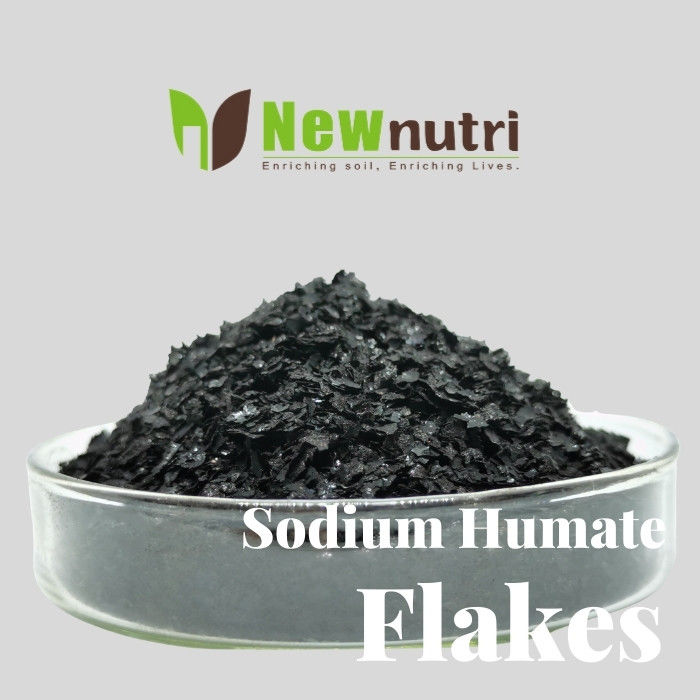Flaky Sodium Humic Acid PH 9 With 98% Water Solubility