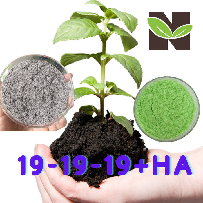19-19-19 NPK Balance Water Soluble Humic Acid Organic Fertilizer